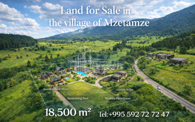 იყიდება რესტორანი კომერციული ფართი, სოფელი წიწამური