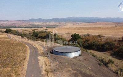 For Sale Land, Khashmi, Sagarejo Municipality, Municipalities of Kakheti