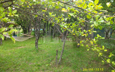 For Sale House - Villa, in Ananuri