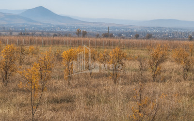 იყიდება მიწის ნაკვეთი სოფელი შაუმიანი მარნეული ქვემო ქართლი