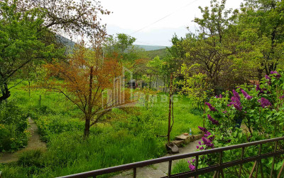 Продается Дом - Вилла, в Мцхета