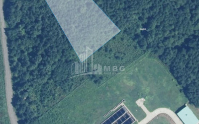 იყიდება სამშენებლო - საინვესტიციო მიწის ნაკვეთი დაბა შეკვეთილში, ოზურგეთი