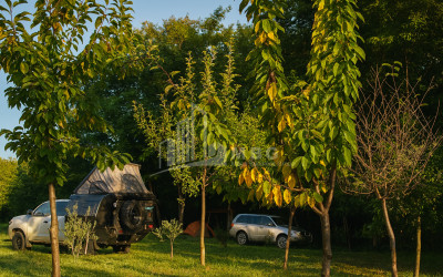 იყიდება ბიზნესი კომერციული ფართი თელავი კახეთი