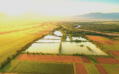 For Sale Land Kvemo Alvani Akhmeta Kakheti