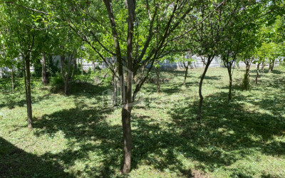 იყიდება ბიზნესი კომერციული ფართი თელავი კახეთი