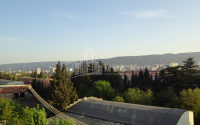 For Sale Flat, in Nadzaladevi