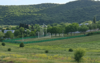 For Sale Commercial Bazaleti Dusheti Mtskheta   Mtianeti