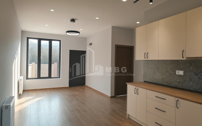 For Sale House Villa Village Dighomi Saburtalo District Tbilisi