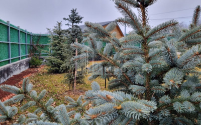 Продается Дом - Вилла В Коджори, Мтацминда Район