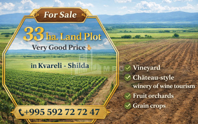 For Sale Land, Kvareli, Kakheti