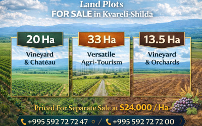 იყიდება მიწის ნაკვეთი, ყვარელი, კახეთი