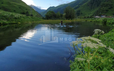 For Sale Land Daba Kazbegi Kazbegi Mtskheta   Mtianeti