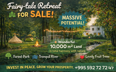 For Sale House Villa Kvishkheti Khashuri Shida Kartli