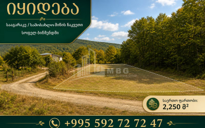 For Sale Agricultural purpose Land In Mtskheta - Mtianeti