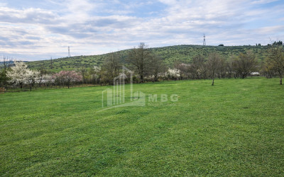 For Sale Old building House - Villa In Dzalisi, Mtskheta