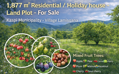 Продается Дачные Земля В Ламискане, Каспси