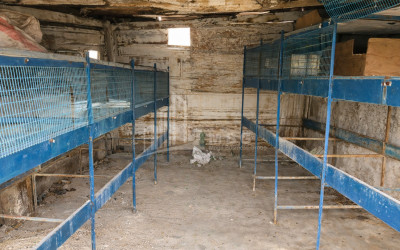 Продается Озеро - Рыболовное хозяйство Земля В Деревния Гачиани, Гардабани