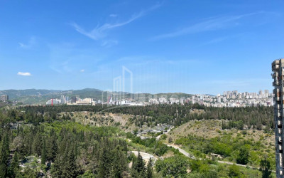 იყიდება ბინა ი. ჭავჭავაძის გამზირი ვაკე ვაკის რაიონი თბილისი