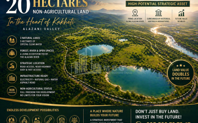 იყიდება კომერციული - არასასოფლო მიწის ნაკვეთი კახეთში