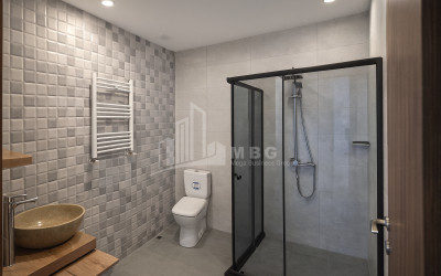 For Sale House Villa Village Dighomi Saburtalo District Tbilisi