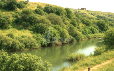 For Sale Land Gachiani Gardabani Kvemo Kartli