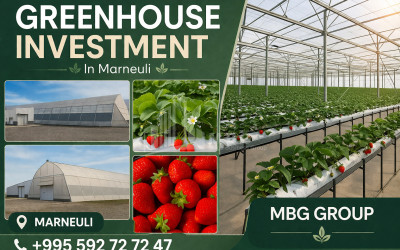 For Sale Farm Greenhouse Land In Marneuli