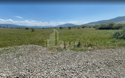 For Sale Country Land, in Tsilkani