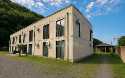 For Sale Commercial Kvareli Kakheti