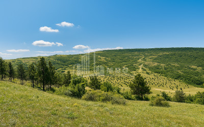 For Sale Land Koshigora Steet Dighmis Chala Saburtalo District Tbilisi
