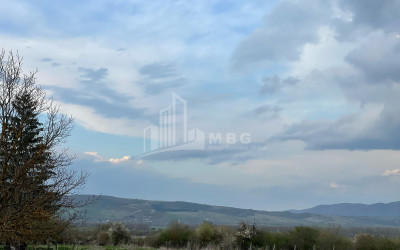 იყიდება მიწის ნაკვეთი ღულელები თიანეთი მცხეთა   მთიანეთი