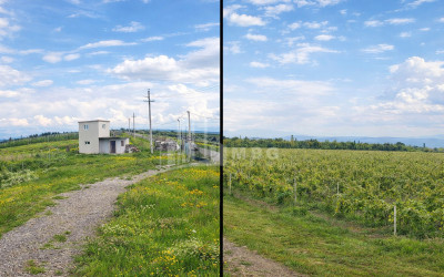 For Sale Vineyard - Chateau Land In Gori