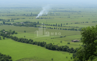 For Sale Land Kvareli Kakheti