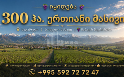 For Sale Vineyard - Chateau Land In Manavi, Sagarejo