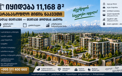 Продается Коммерческий - универсальный Земля В Телави