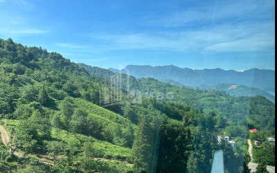 იყიდება კომერციული - არასასოფლო მიწის ნაკვეთი სარფში, ხელვაჩაური