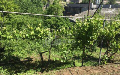 For Sale House - Villa, in Digomi Massive