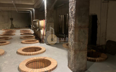 Продается Коммерческий Охио Ахмета Кахети