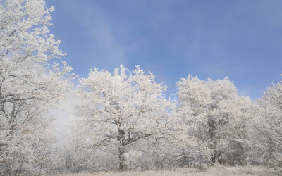 For Sale Land Zemo Gostibe Kaspi Shida Kartli