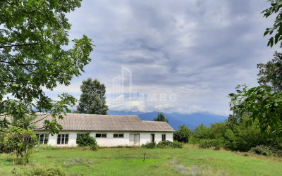 იყიდება კომერციული ფართი თელავი კახეთი