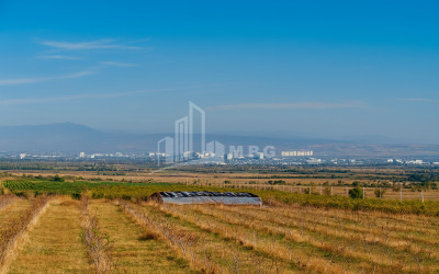 იყიდება მიწის ნაკვეთი სოფელი შაუმიანი მარნეული ქვემო ქართლი