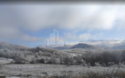 იყიდება სახნავ - სათესი მიწის ნაკვეთი, ზემო გოსტიბე