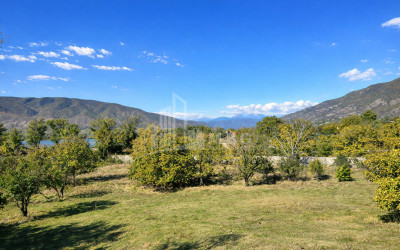 For Sale Old building House - Villa In the Village Choporti, Dusheti