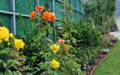 Продается Дом - Вилла В Коджори, Мтацминда Район