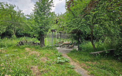 For Sale House Villa Kvibisi Borjomi Samtskhe   Javakheti