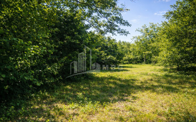 For-Sale-Land-Mchadijvari-village-Dusheti-Mtskheta---Mtianeti