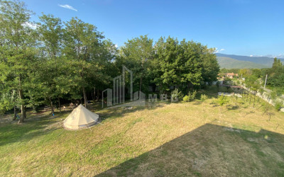 იყიდება ბიზნესი კომერციული ფართი თელავი კახეთი