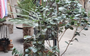 For Sale Flat, in Zemo Vera