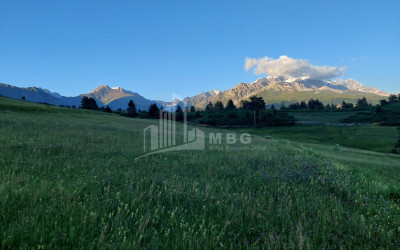 For Sale Land Tsvirmi Mestia Samegrelo   Upper Svaneti