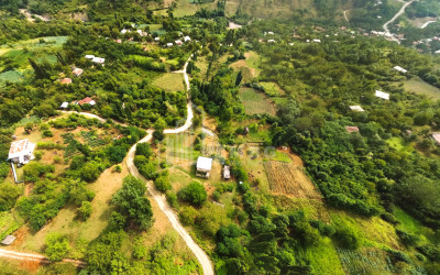 იყიდება მიწის ნაკვეთი ზემო ჟოშხა ამბროლაური რაჭა