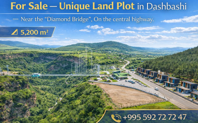 BusinessInvestment for Sale Business In Georgia